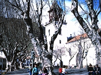 Marktplatz in Machico : Kinder, Kirche, kahle Bäume